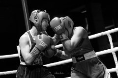 2024-09-notte-guerrieri-13