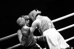2024-09-notte-guerrieri-84